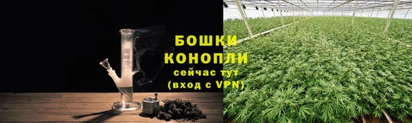 дживик Козельск