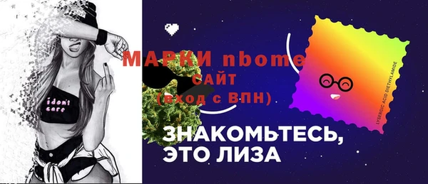 прущий лед Козловка