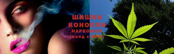 дживик Козельск