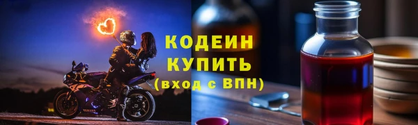 дживик Козельск