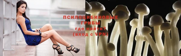 мескалин Кодинск