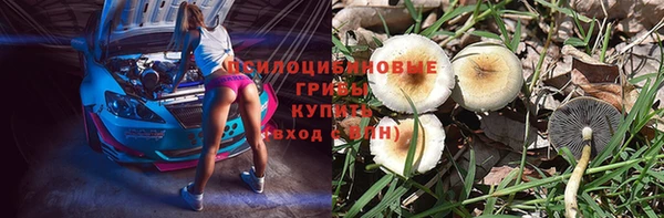 прущий лед Козловка