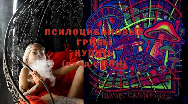 прущий лед Козловка