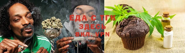 дживик Козельск